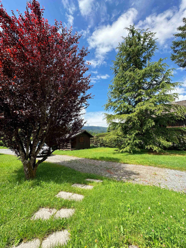 _lv_images__lot_0101061708_15_3170134 _lv_images__lot_0101061708_15_3170134