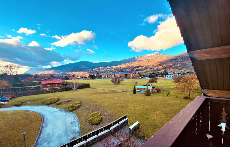 _lv_images__lot_0109021838_09_2654305