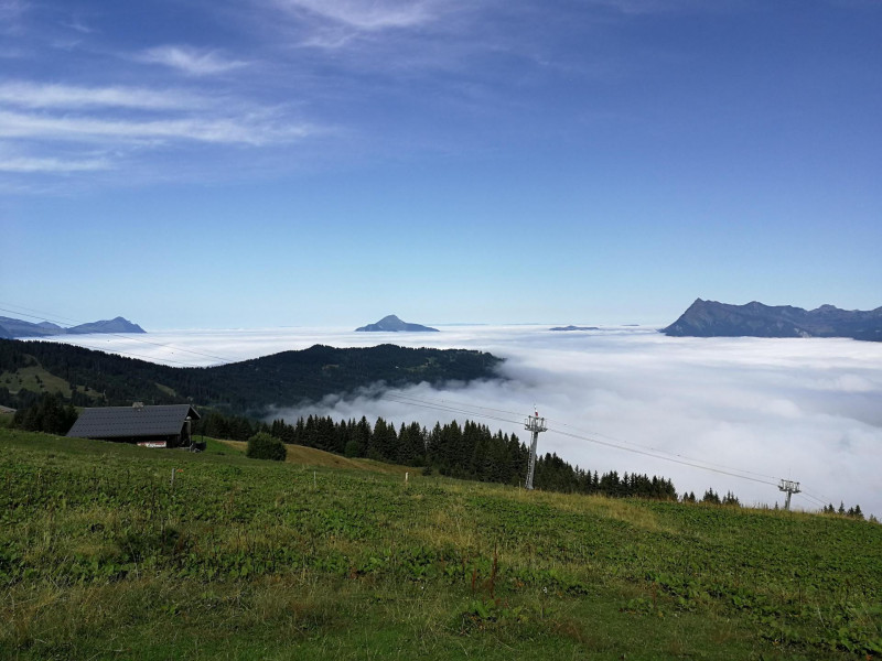 _lv_images__lot_0109021948_16_3167339 _lv_images__lot_0109021948_16_3167339