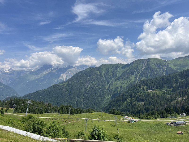 _lv_images__lot_0109021957_15_3483103