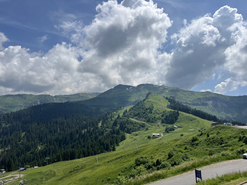 _lv_images__lot_0109021957_16_3585459 _lv_images__lot_0109021957_16_3585459