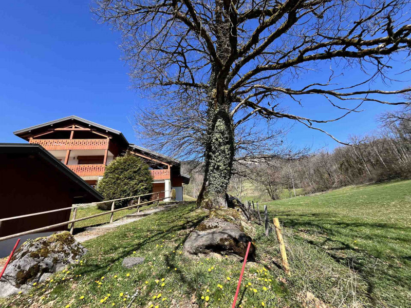 _lv_images__lot_0109021965_13_3693359