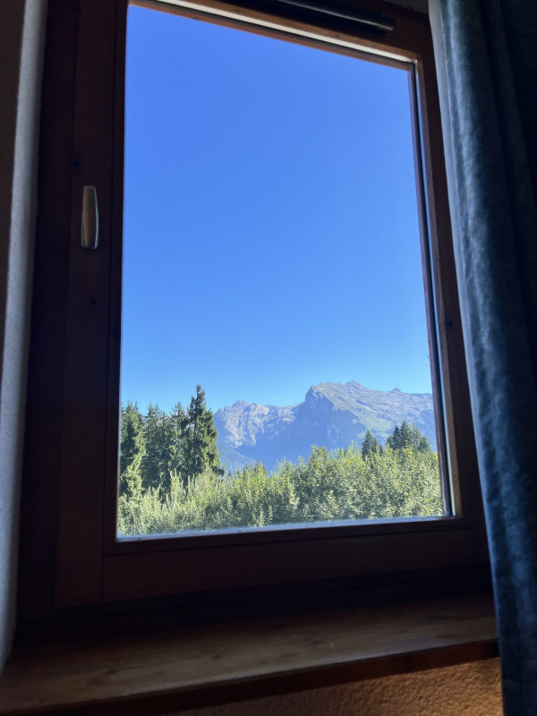 _lv_images__lot_0109021988_10_4018403