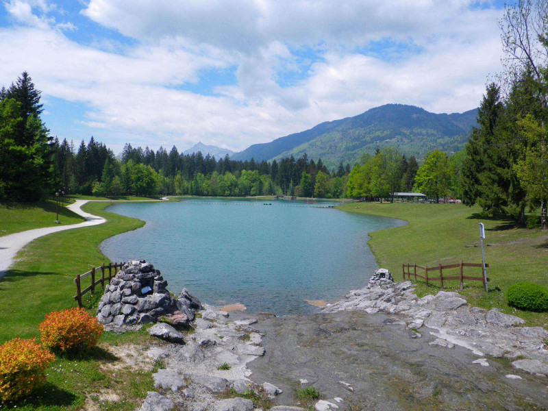 _lv_images__lot_0109022013_16_3629021 _lv_images__lot_0109022013_16_3629021