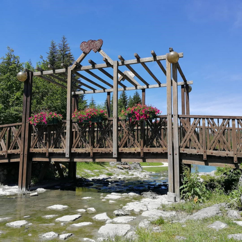 _lv_images__lot_0109022088_16_2654693