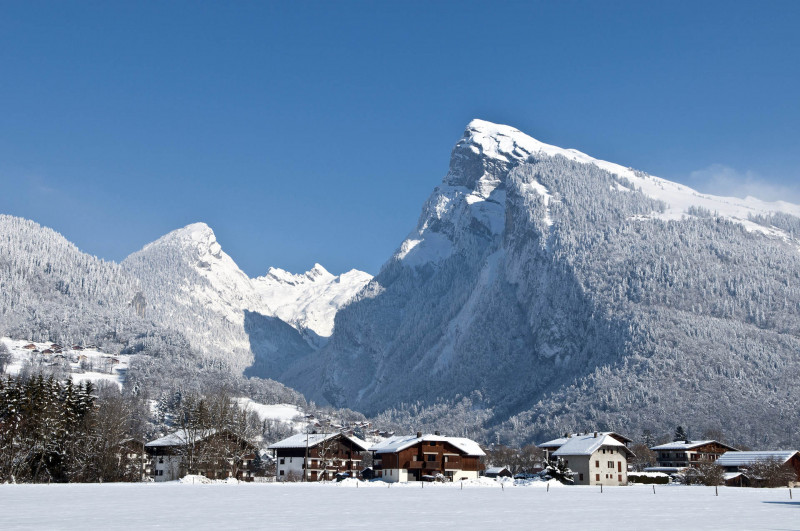 _lv_images__lot_0109022108_14_3295380 _lv_images__lot_0109022108_14_3295380