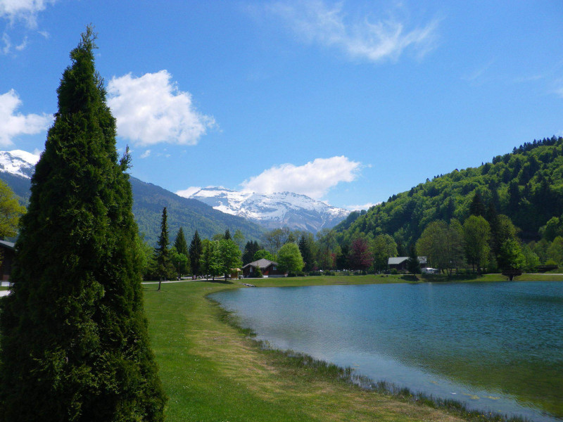 _lv_images__lot_0109022115_15_3661440 _lv_images__lot_0109022115_15_3661440