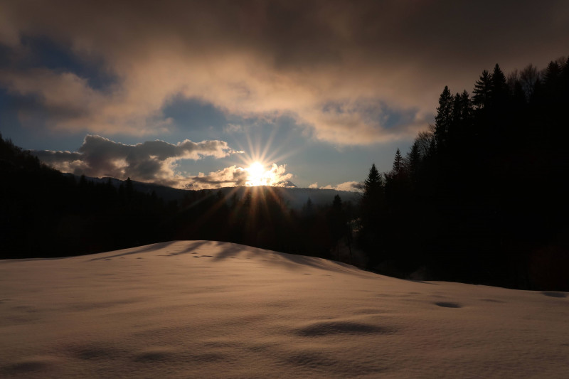 img-2894-3511530 img-2894-3511530