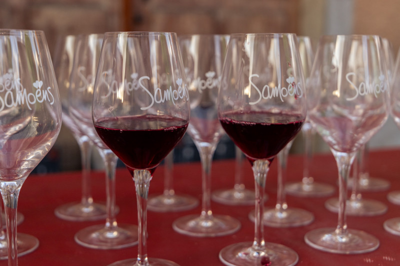 s-minaire-nologie-samoens-d-gustation-bulles-vins-gn-le-2772744
